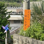 IMG_9097.JPG