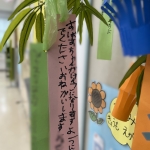 七夕⑦.JPG