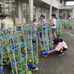 思いやりの行動③.JPG